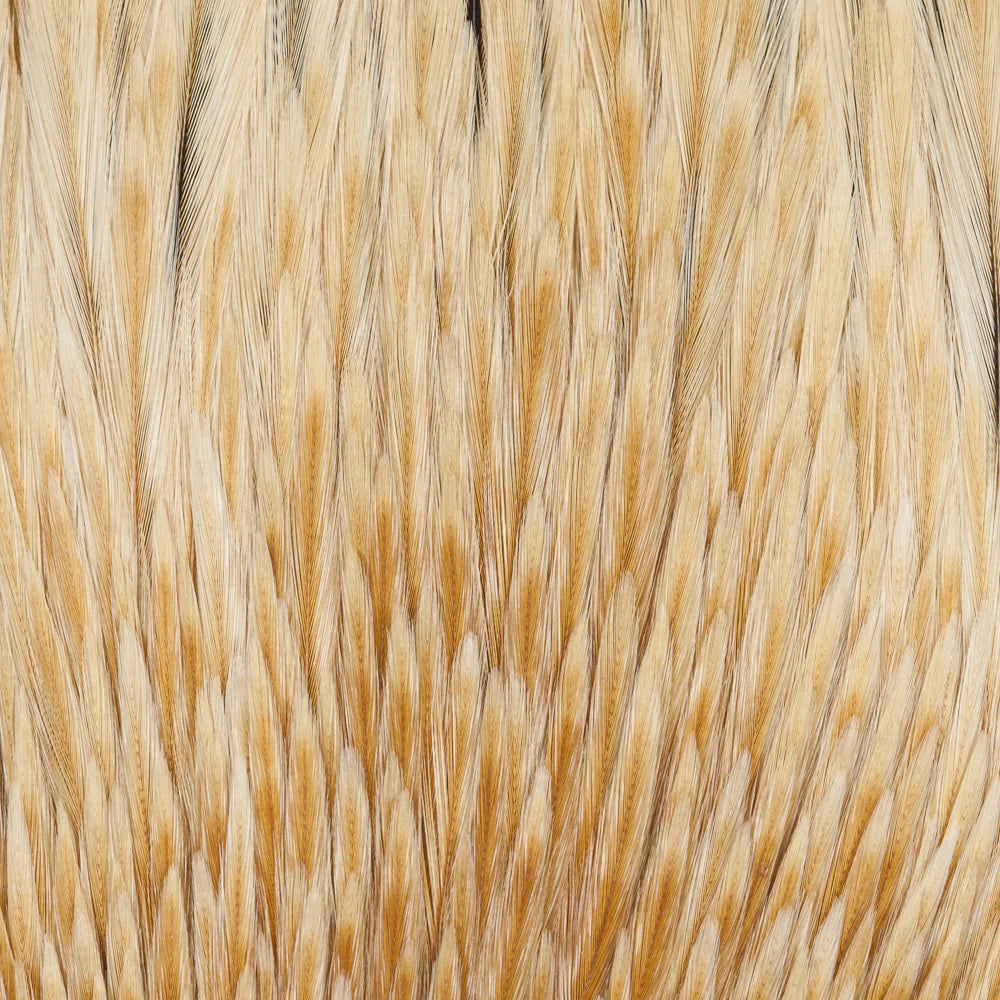 Wapsi Dry Fly Rooster Necks Prime