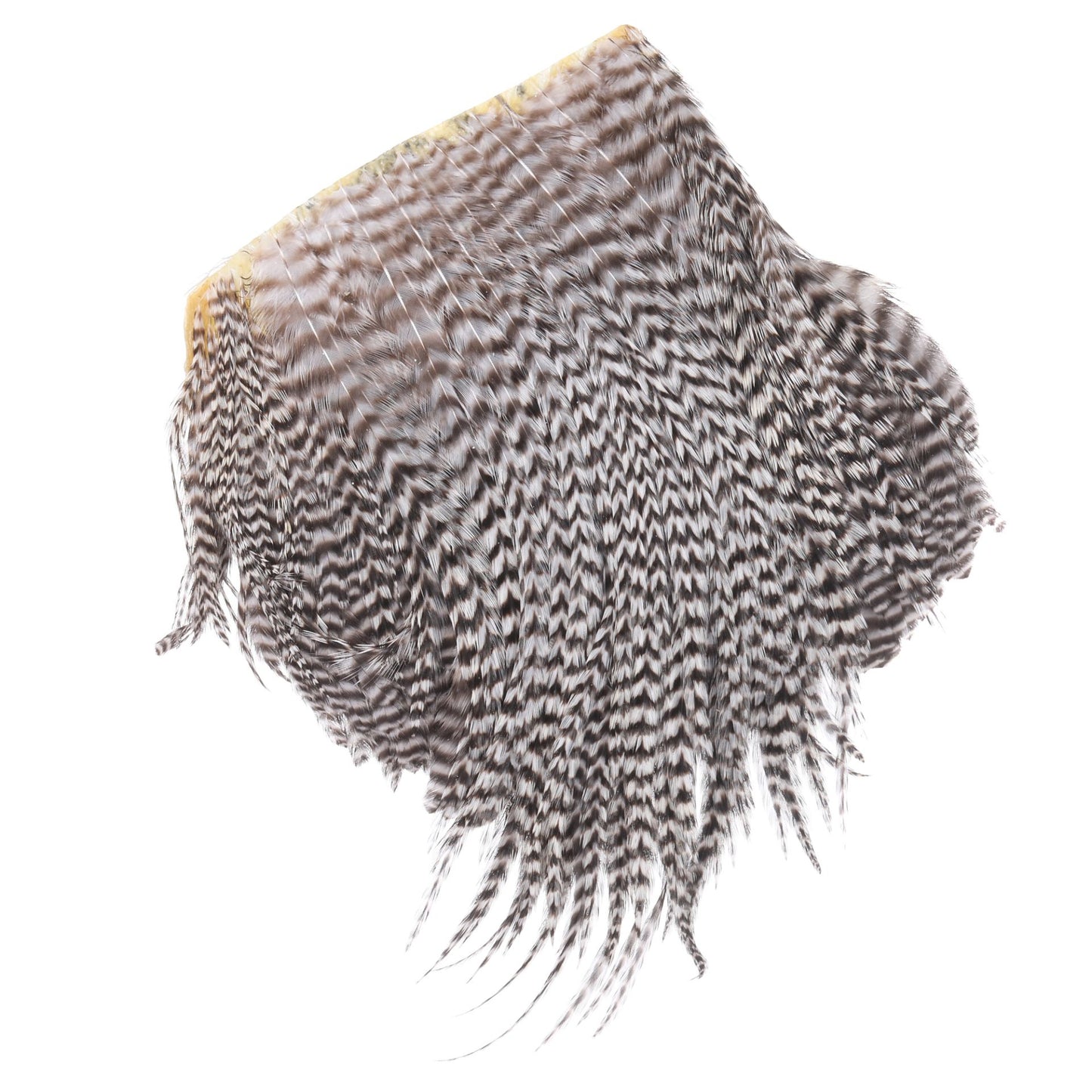 DRY FLY NECK SELECT SECTIONS, BUTT 8-10