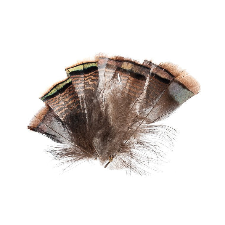 Wapsi Tqr199 Ozark Iridescent Turkey Tail Natural