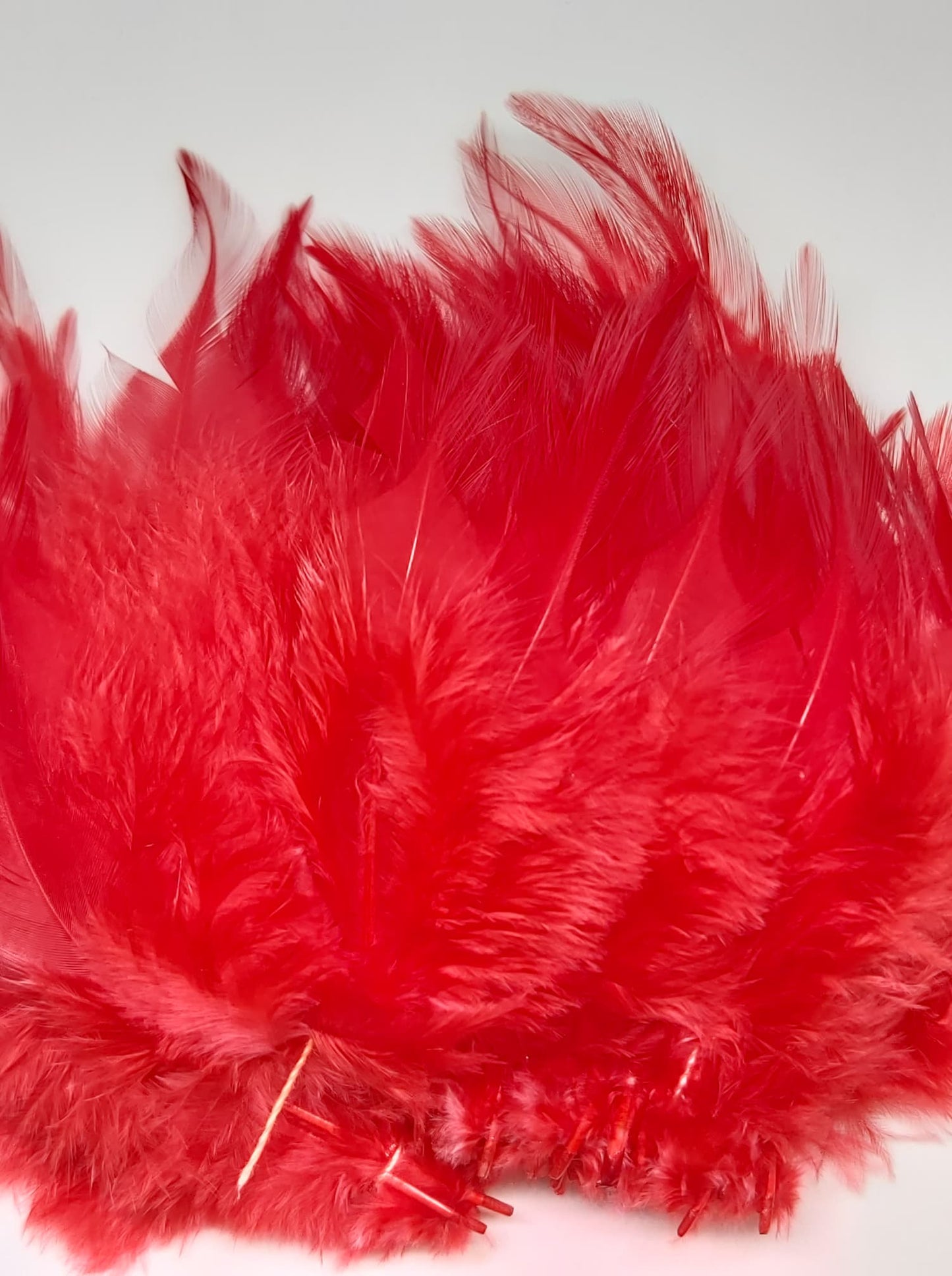 Wapsi DECEIVER STRUNG ROOSTER SADDLE Medium