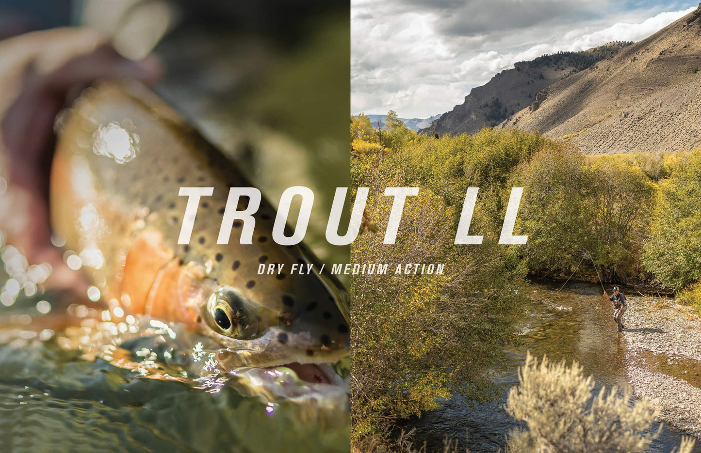 SAGE TROUT LL ROD