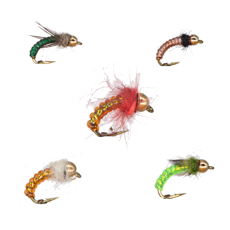 Caddis Larva #12