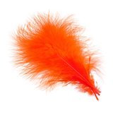 Wapsi Marabou Plumes