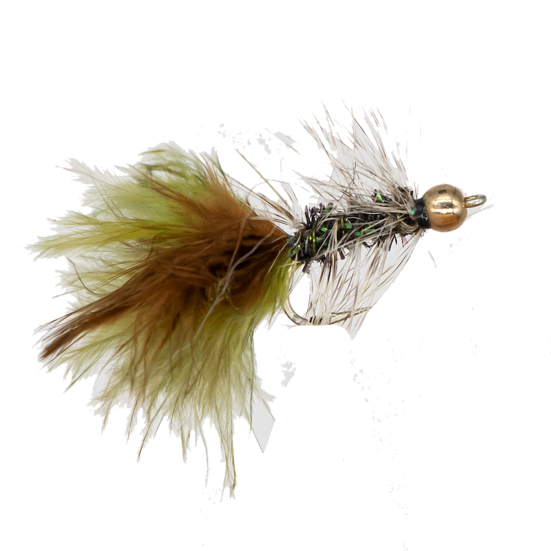 Wooly Bugger #6