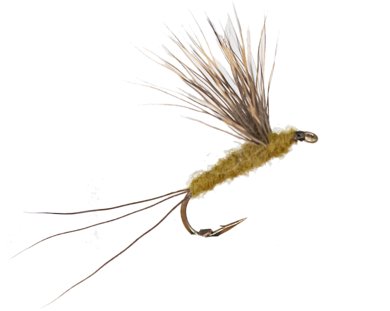 Blue Wing Olive