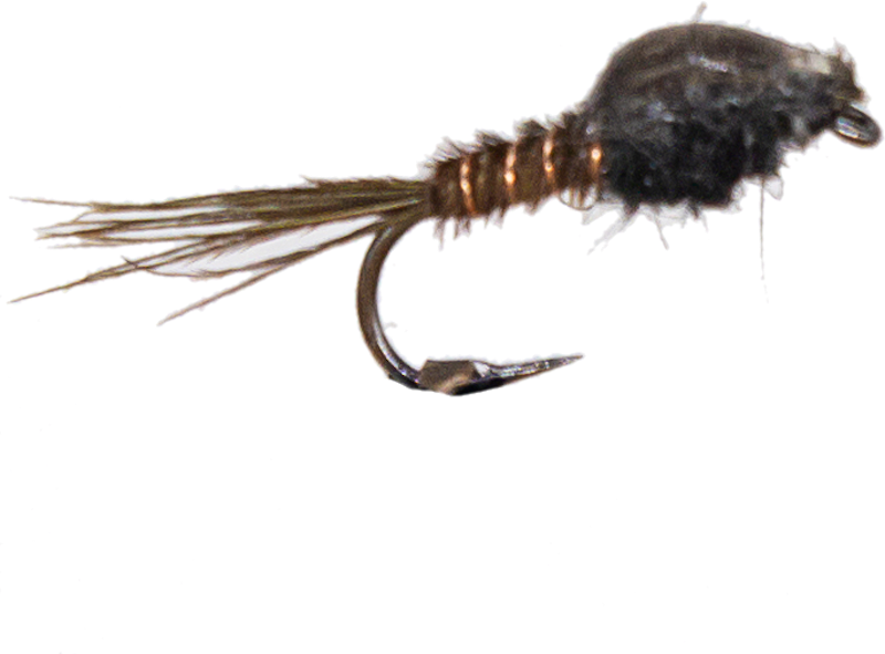 Pheasant Tail Nymph