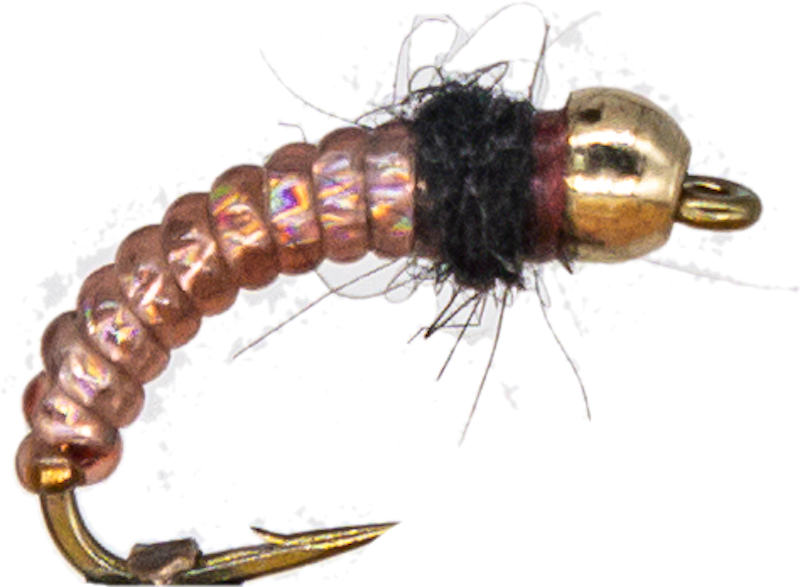 Caddis Larva #12