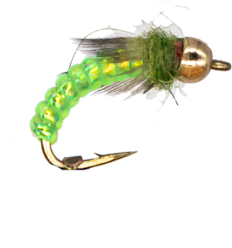 Caddis Larva #12