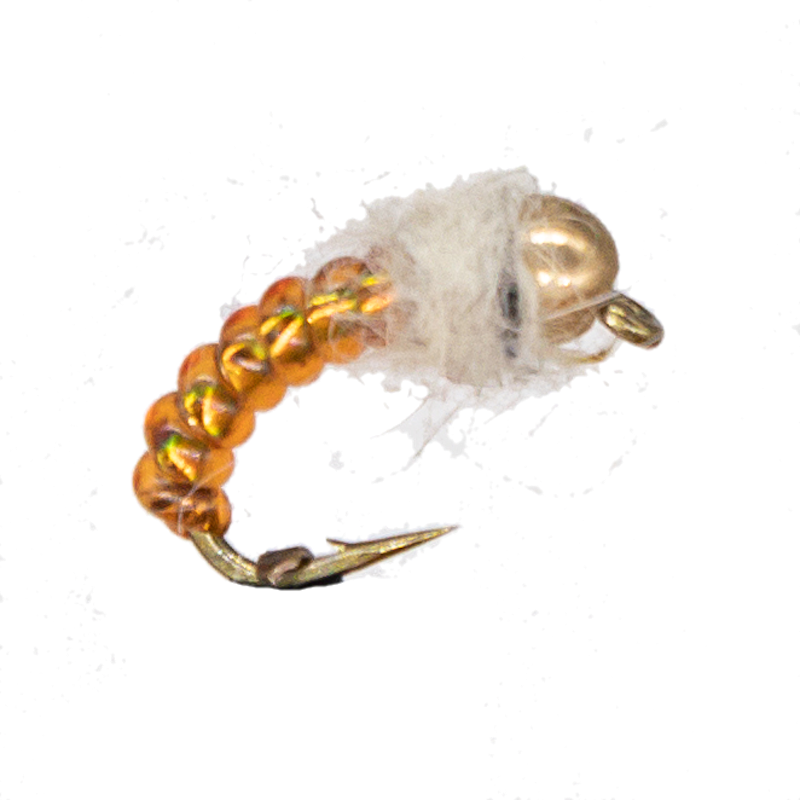 Caddis Larva #12