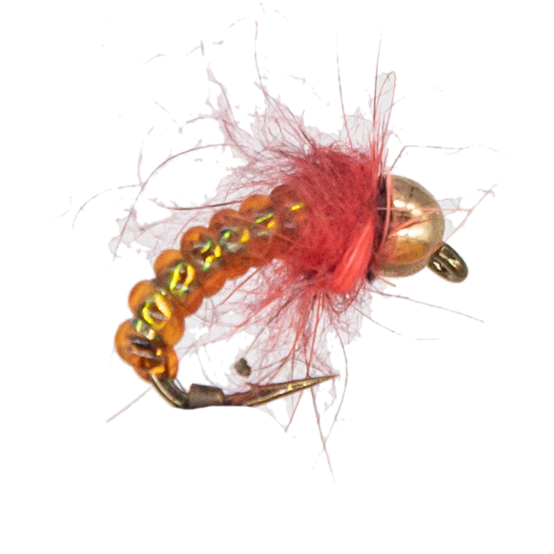Caddis Larva #12
