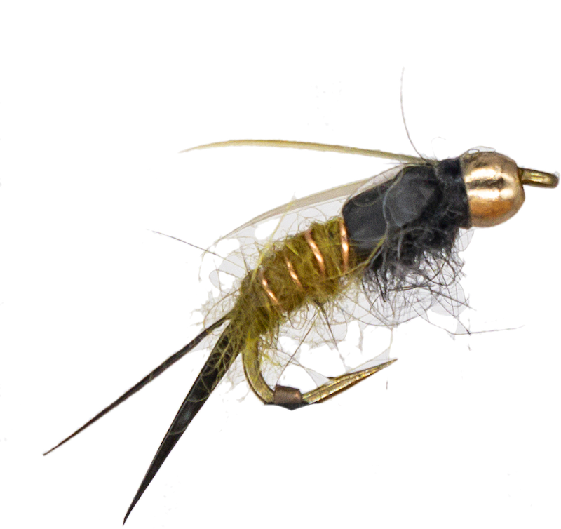Prince Nymph #10