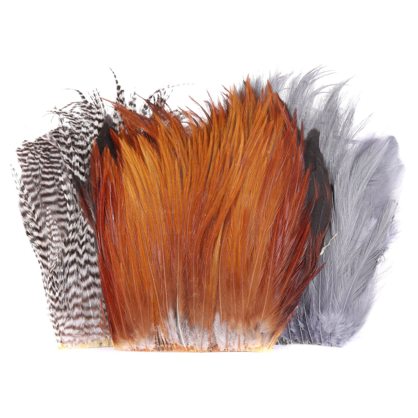 DRY FLY NECK SELECT SECTIONS, BUTT 8-10