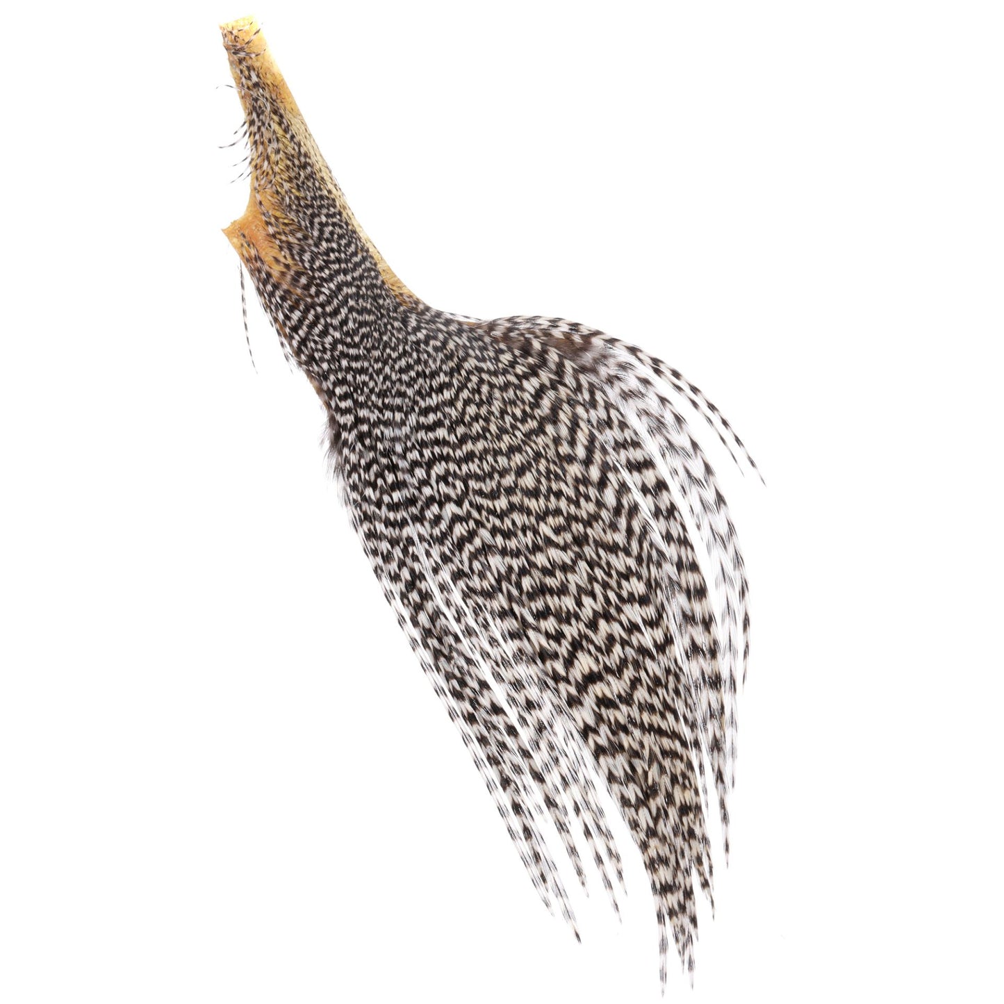 Wapsi Dry Fly Neck Hackle X-Small